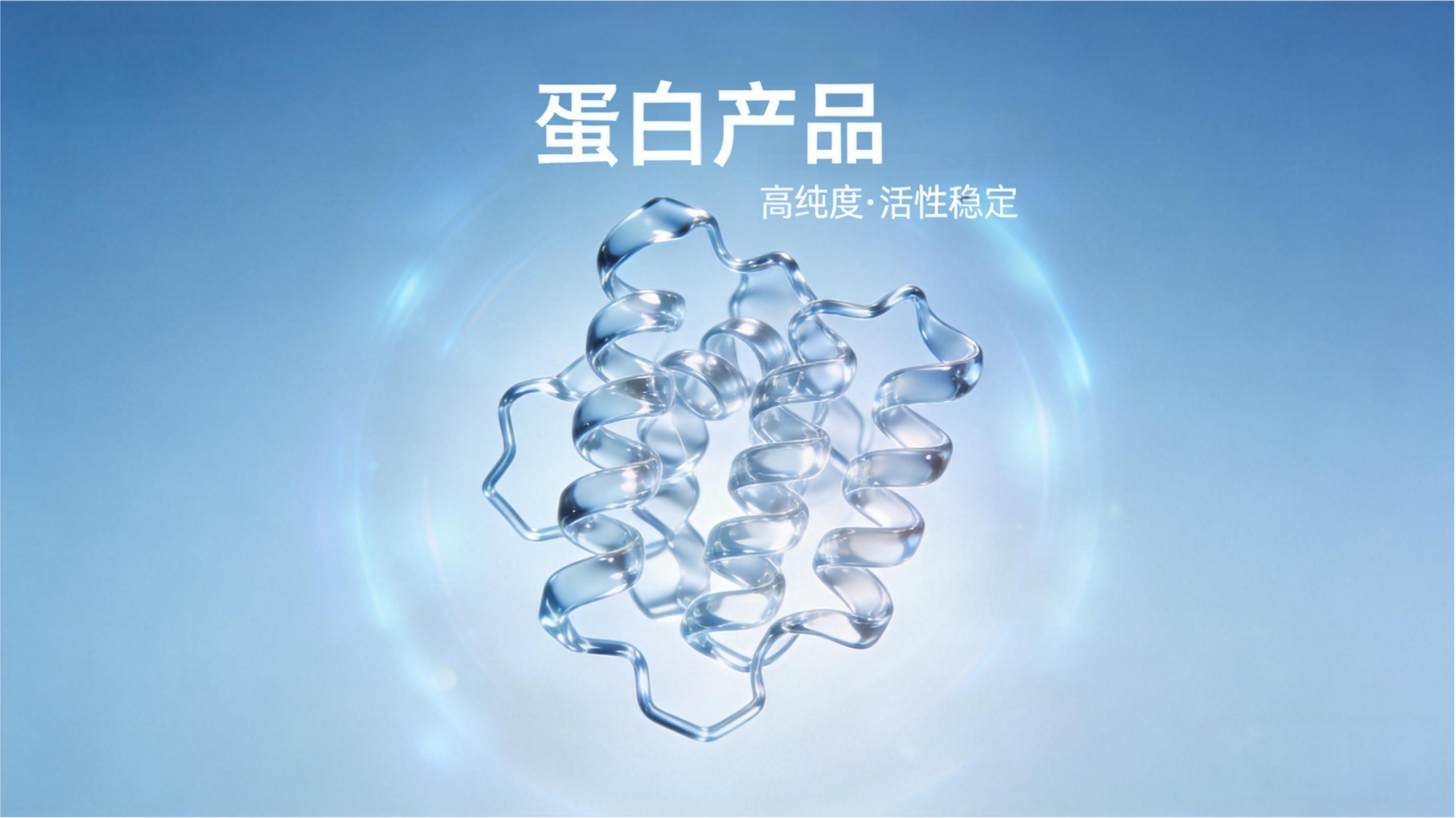 蛋白